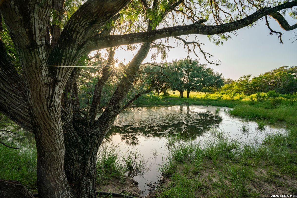 10255 County Road 113 Pettus TX 78146