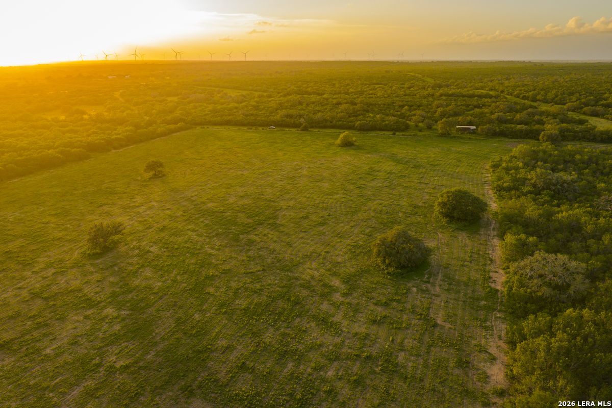10255 County Road 113 Pettus TX 78146