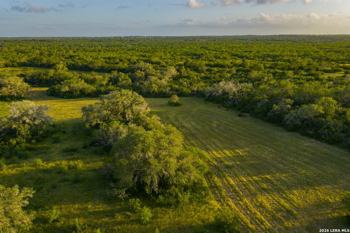 10255 County Road 113 Pettus TX 78146