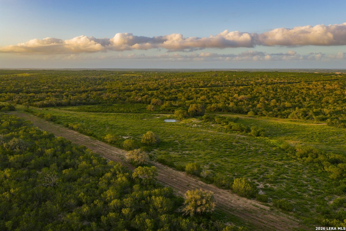 10255 County Road 113 Pettus TX 78146