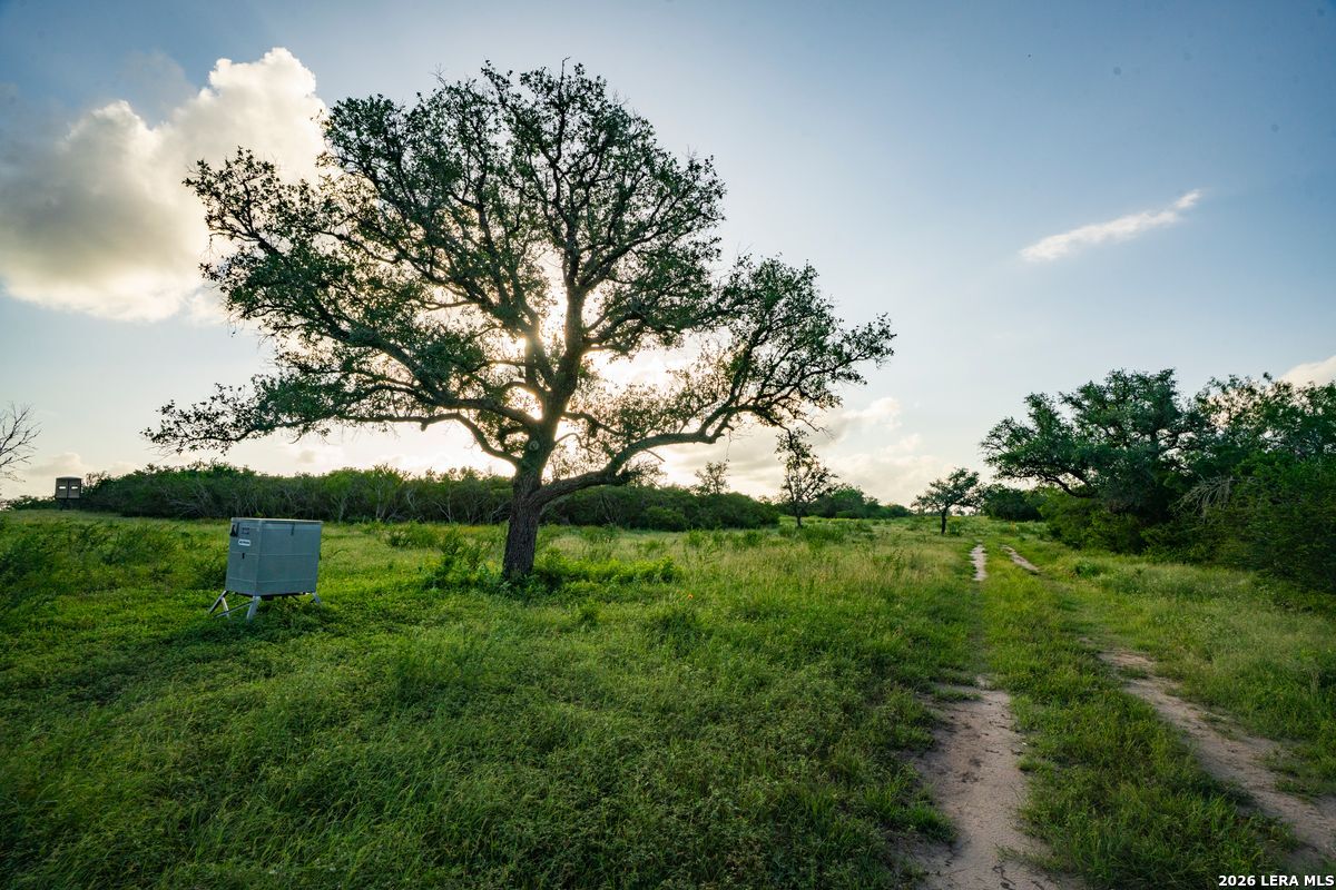 10255 County Road 113 Pettus TX 78146