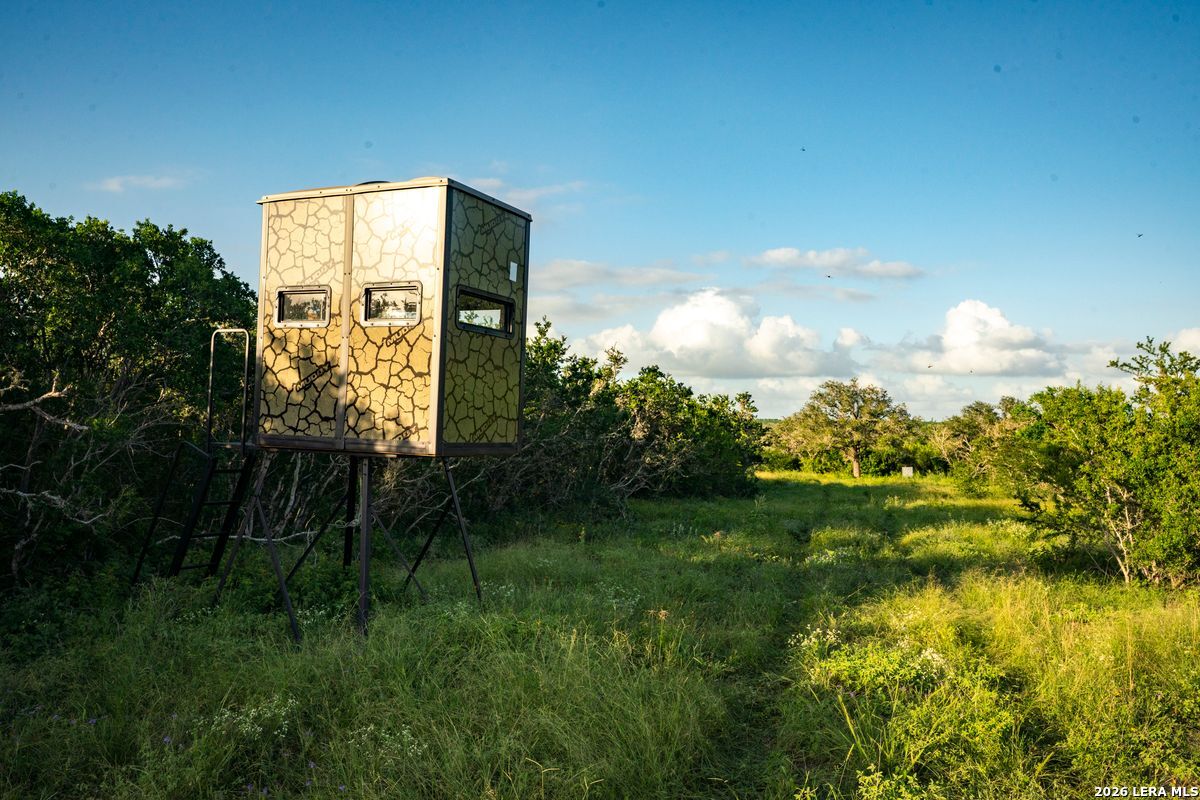 10255 County Road 113 Pettus TX 78146