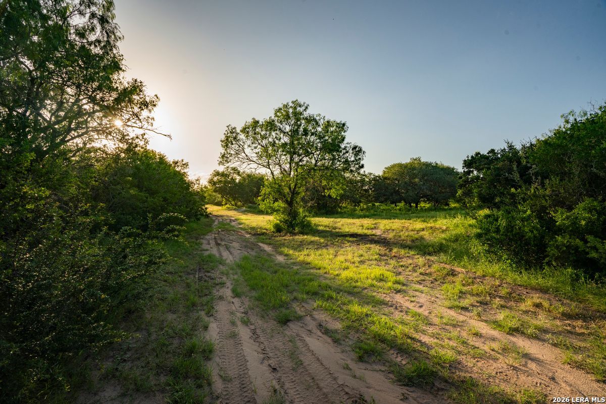 10255 County Road 113 Pettus TX 78146