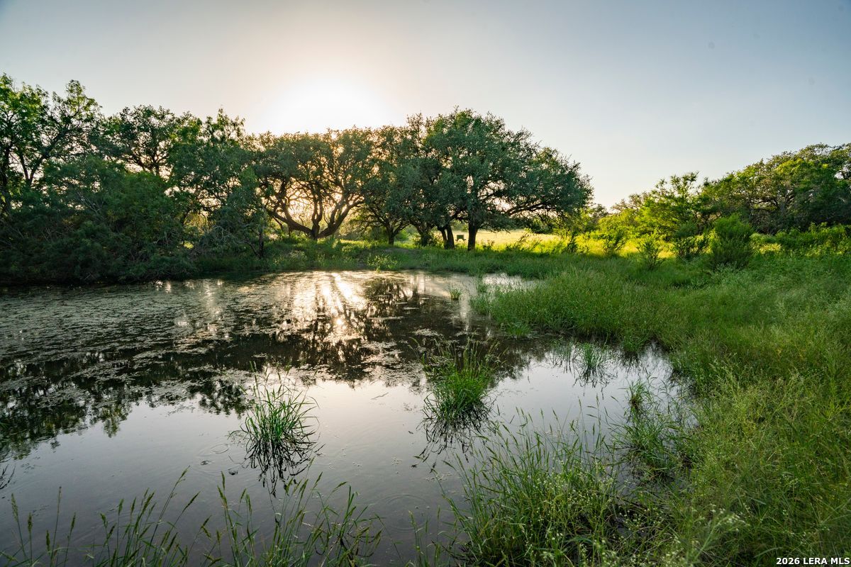 10255 County Road 113 Pettus TX 78146