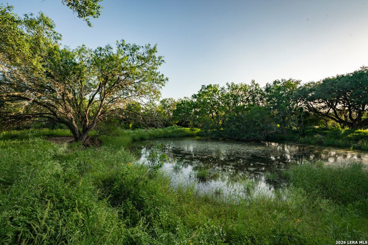 10255 County Road 113 Pettus TX 78146