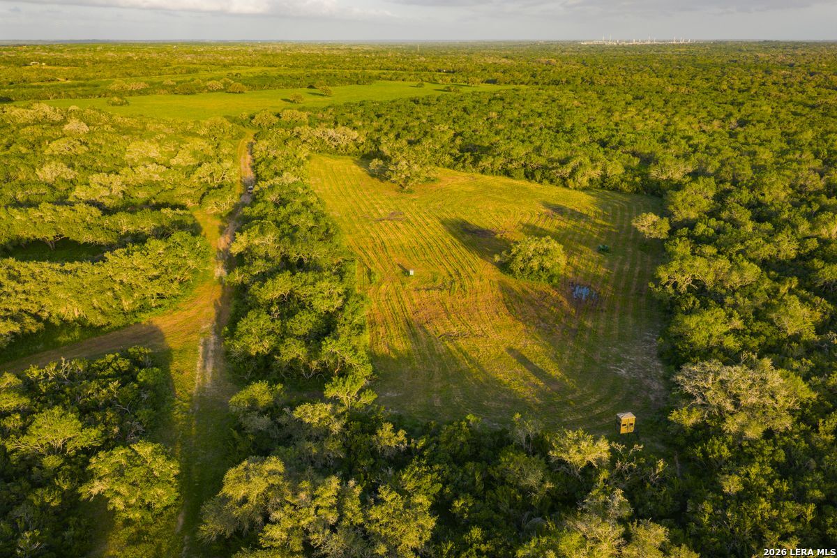 10255 County Road 113 Pettus TX 78146