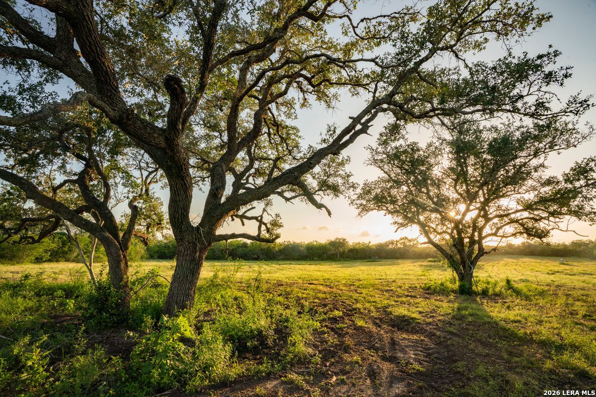 10255 County Road 113 Pettus TX 78146