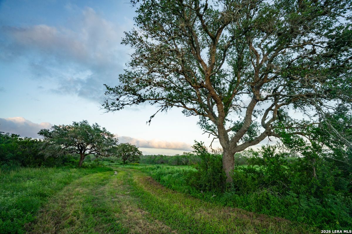 10255 County Road 113 Pettus TX 78146