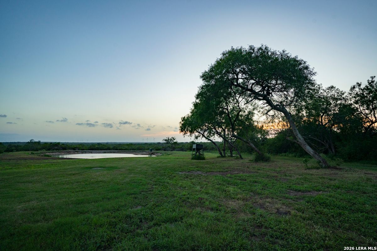 10255 County Road 113 Pettus TX 78146