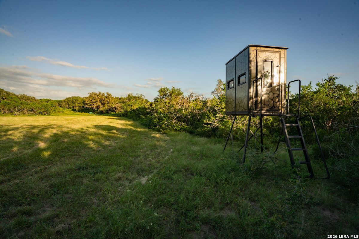 10255 County Road 113 Pettus TX 78146