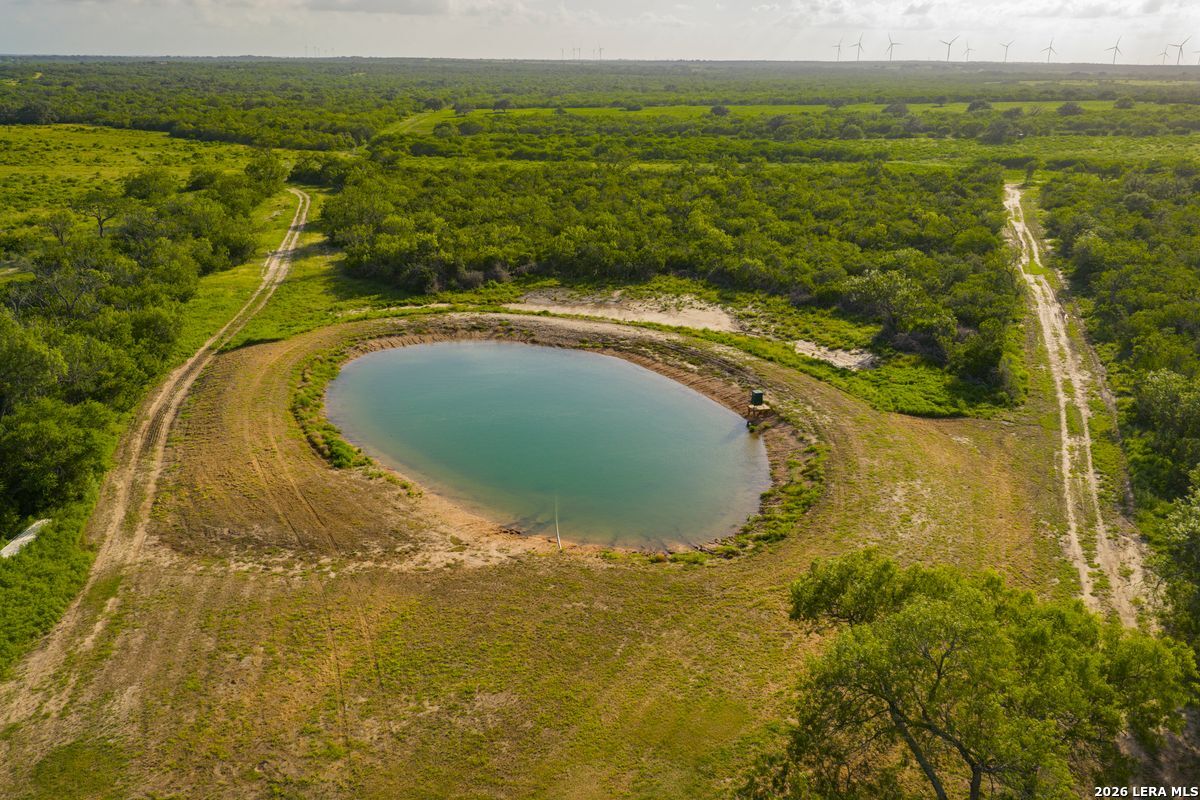 10255 County Road 113 Pettus TX 78146