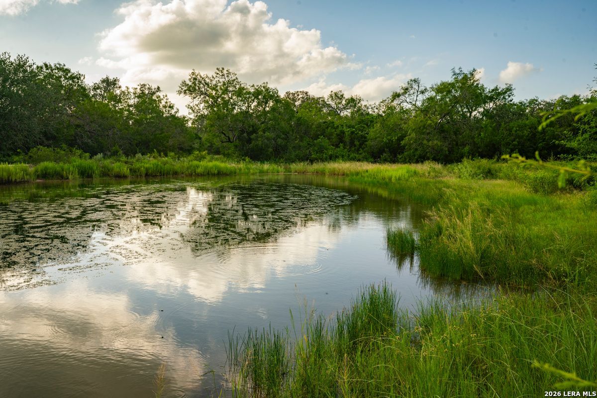 10255 County Road 113 Pettus TX 78146