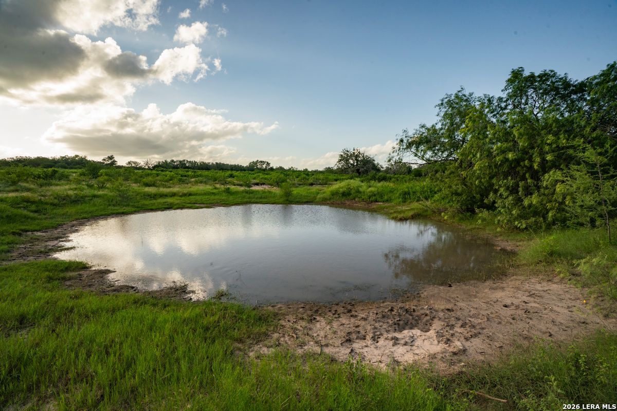 10255 County Road 113 Pettus TX 78146