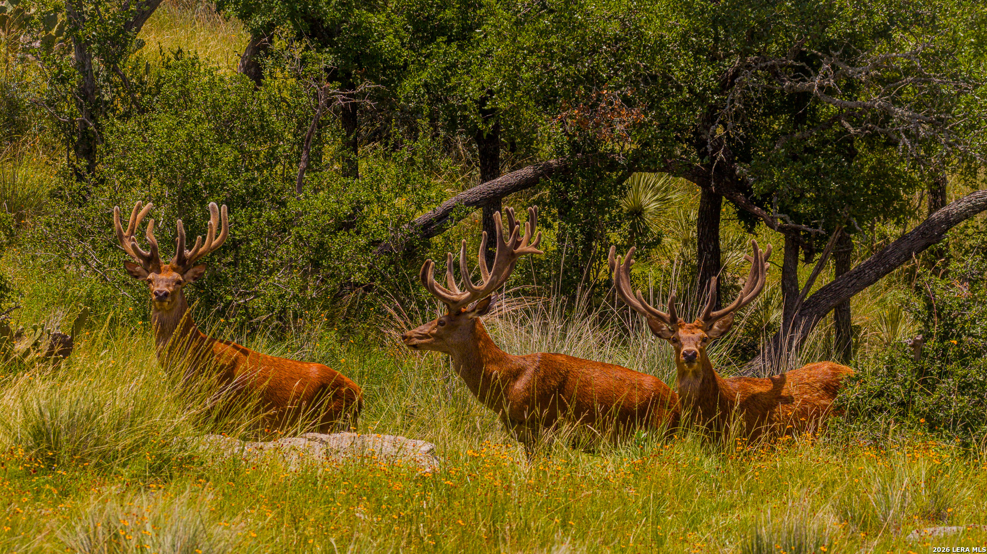 7556 County Road 312 Llano TX 78643