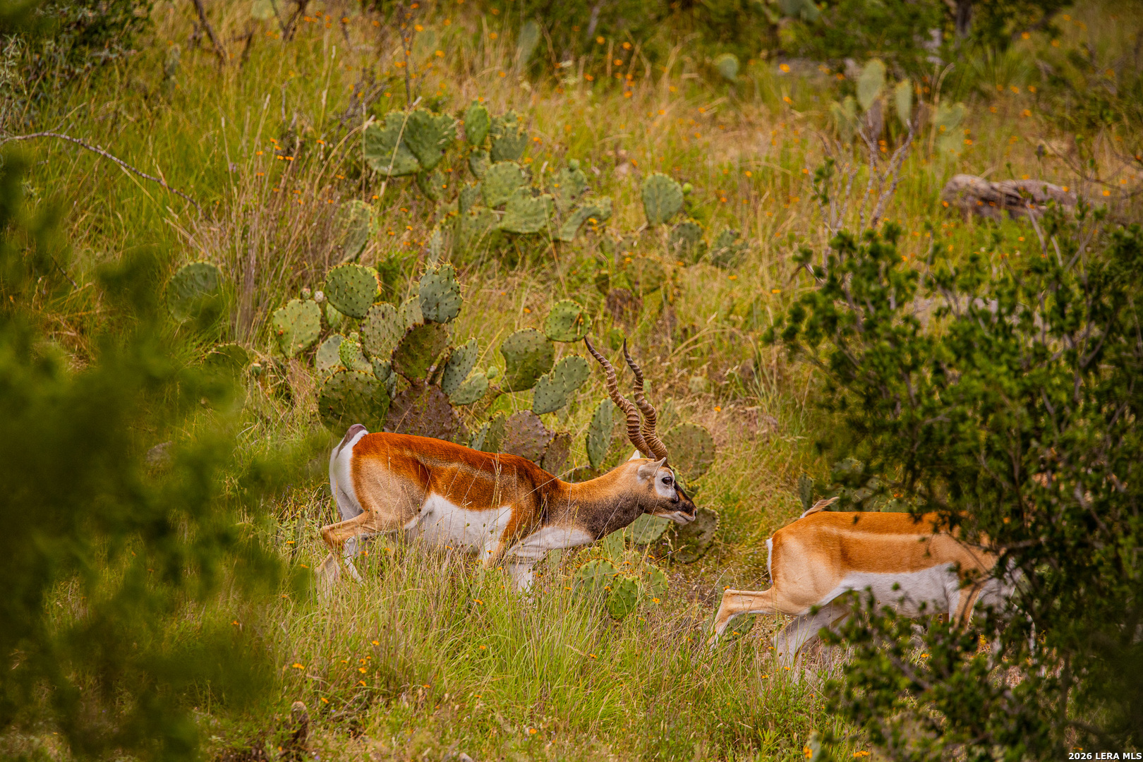 7556 County Road 312 Llano TX 78643