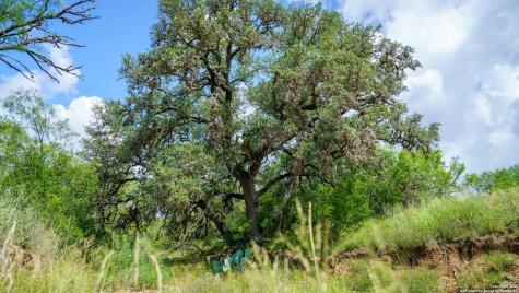 1231 B & R Road Vanderpool TX 78885