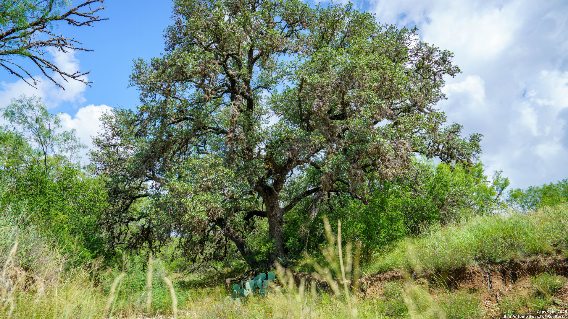 1231 B & R Road Vanderpool TX 78885