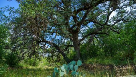 1231 B & R Road Vanderpool TX 78885