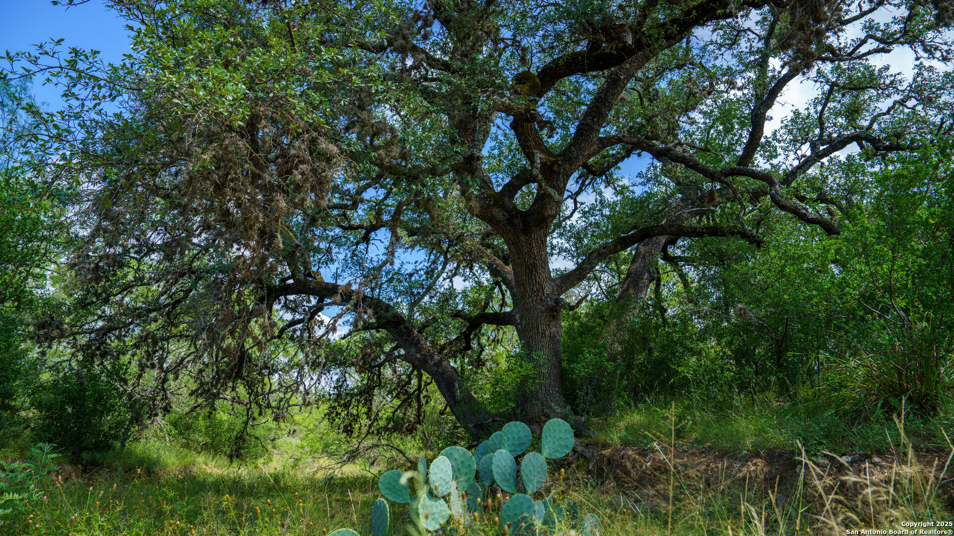 1231 B & R Road Vanderpool TX 78885