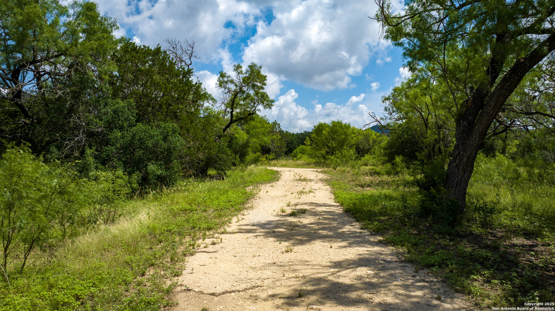 1231 B & R Road Vanderpool TX 78885