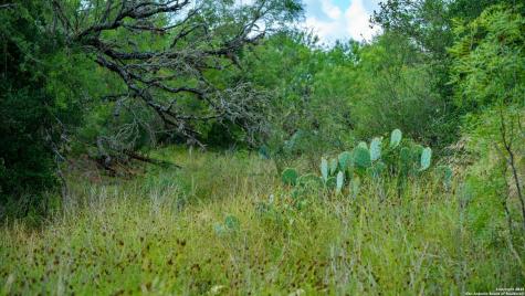 1231 B & R Road Vanderpool TX 78885