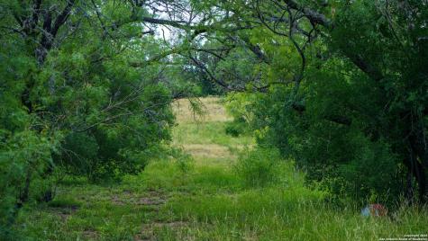 1231 B & R Road Vanderpool TX 78885
