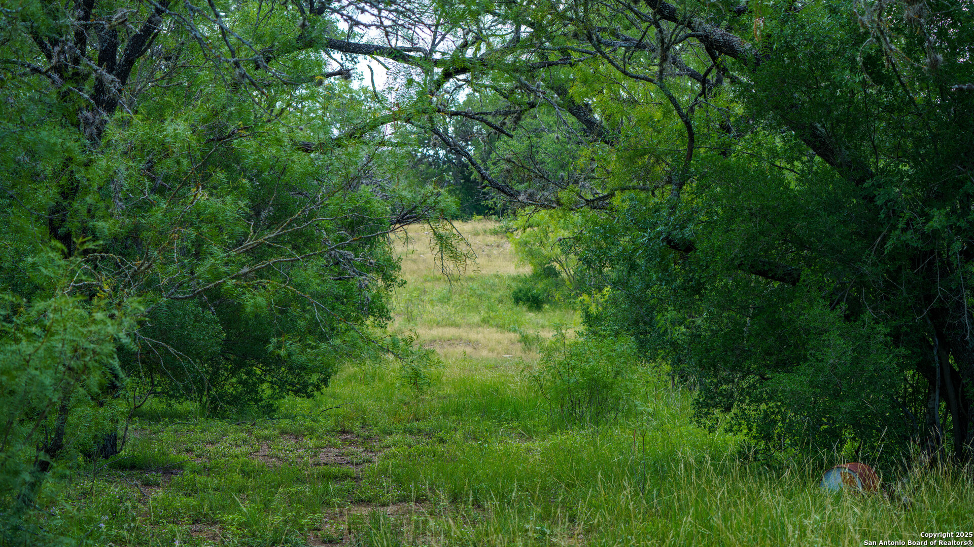 1231 B & R Road Vanderpool TX 78885