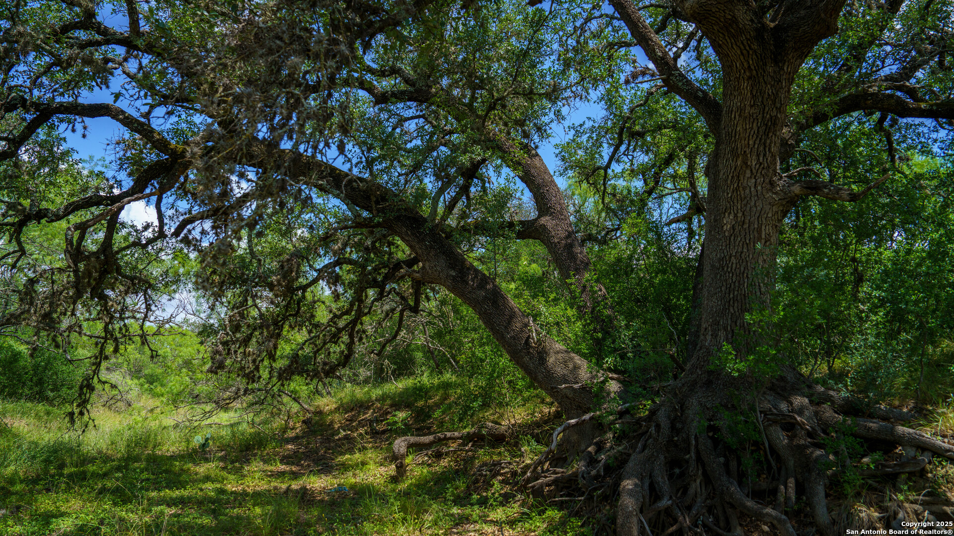 1231 B & R Road Vanderpool TX 78885