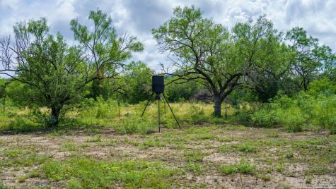 1231 B & R Road Vanderpool TX 78885