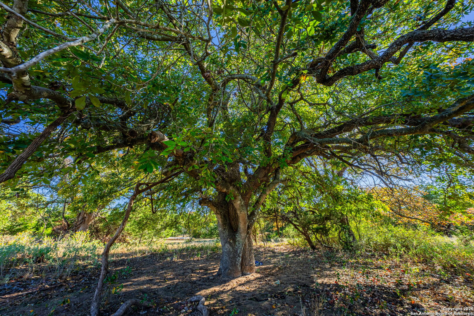 930 Jerald Fredericksburg TX 78624