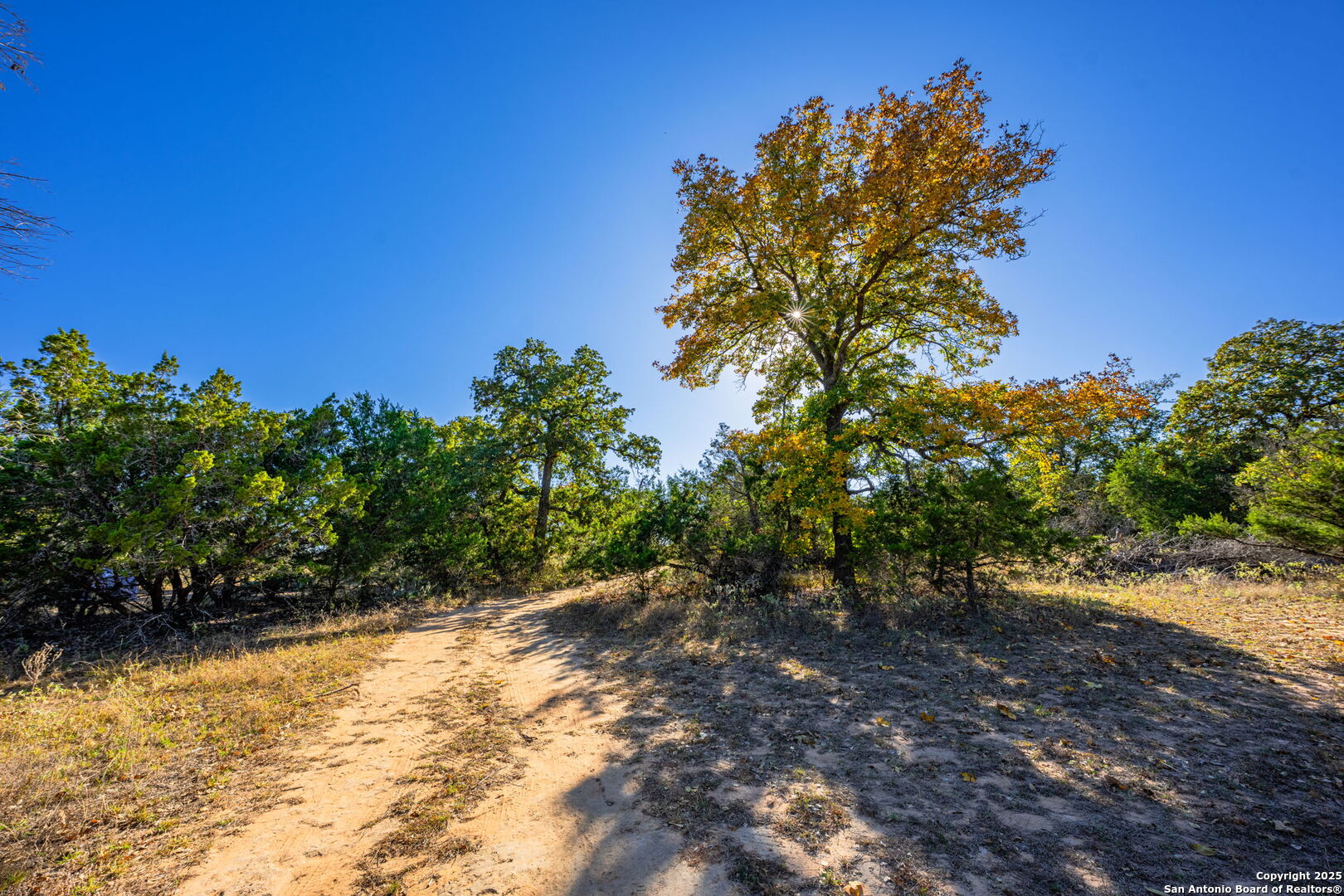 930 Jerald Fredericksburg TX 78624