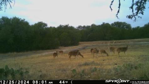 1540 Rough Rider Road Roosevelt TX 76874