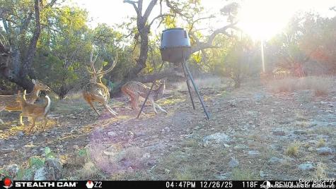 1540 Rough Rider Road Roosevelt TX 76874