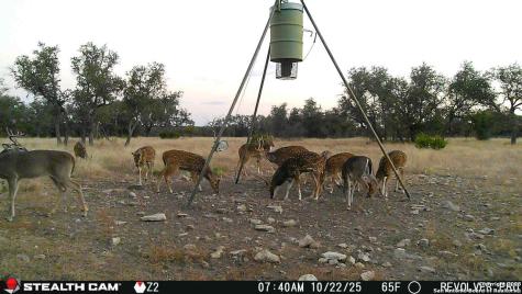 1540 Rough Rider Road Roosevelt TX 76874