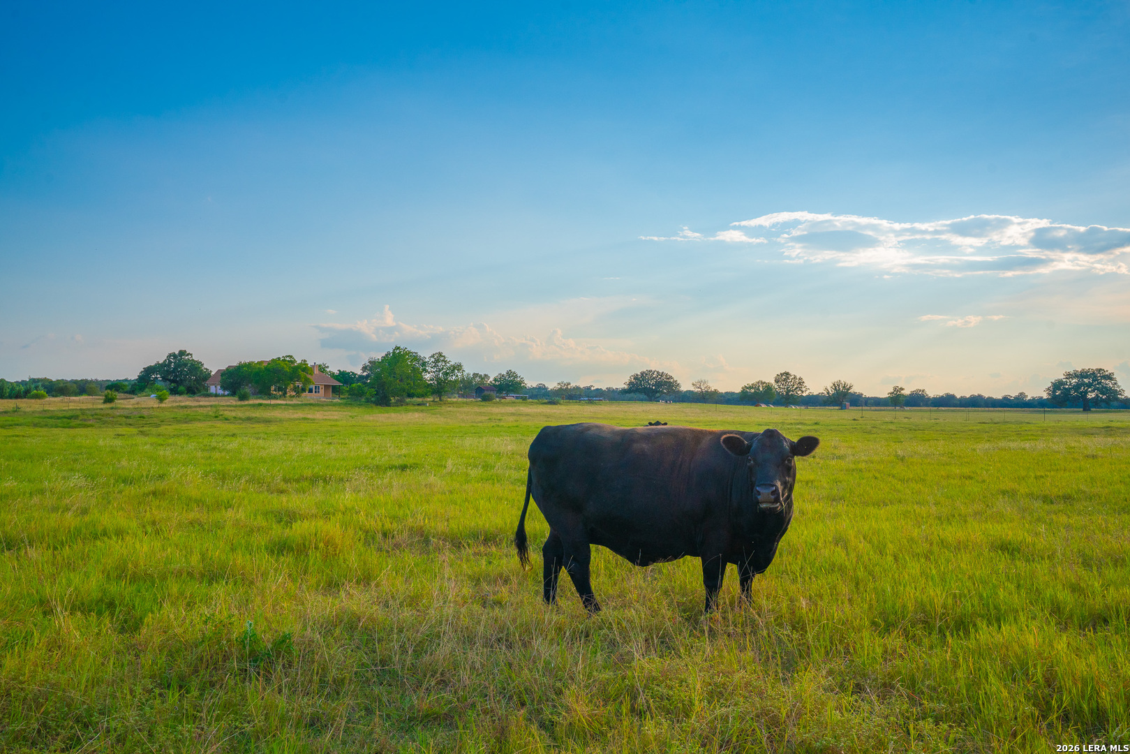 214 Marquardt Road Boerne TX 78006