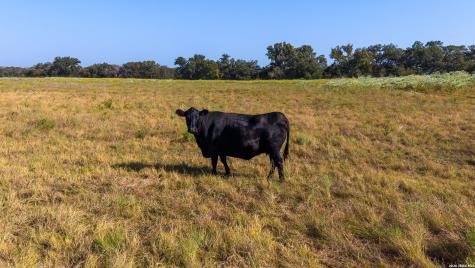 214 Marquardt Road Boerne TX 78006