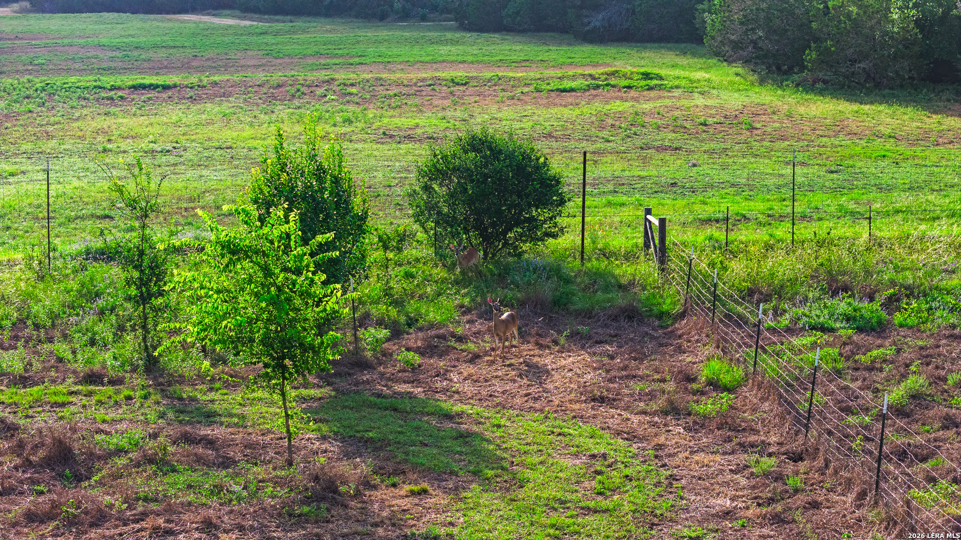 214 Marquardt Road Boerne TX 78006