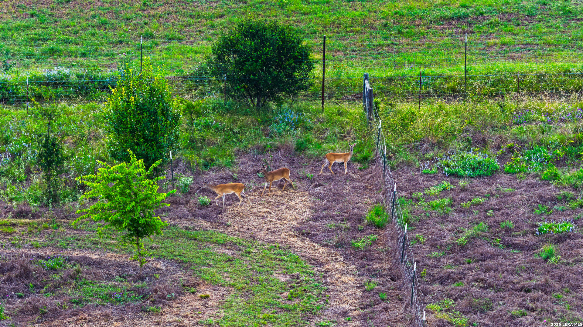 214 Marquardt Road Boerne TX 78006