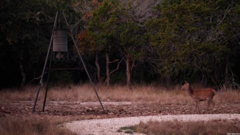 305 Wilson Ranch Road W Hunt TX 78024