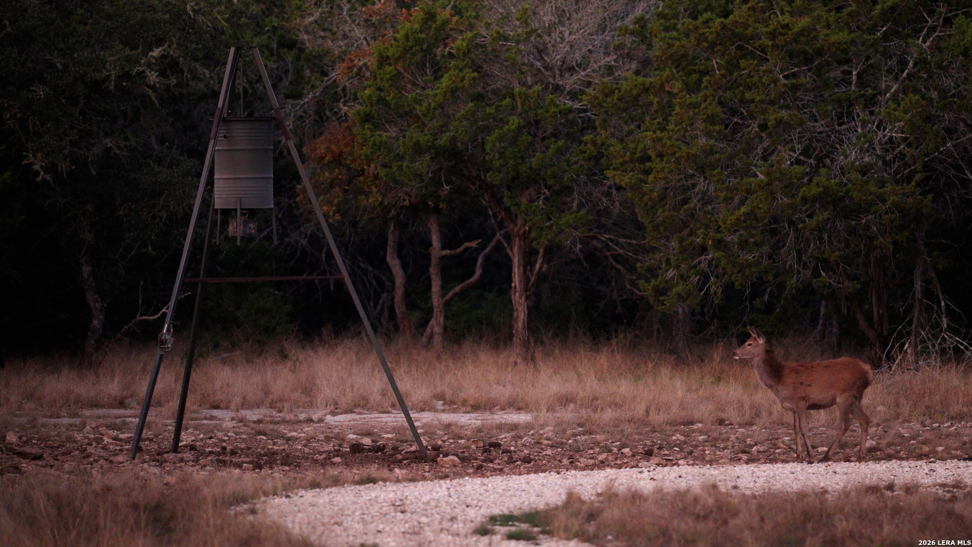 305 Wilson Ranch Road W Hunt TX 78024