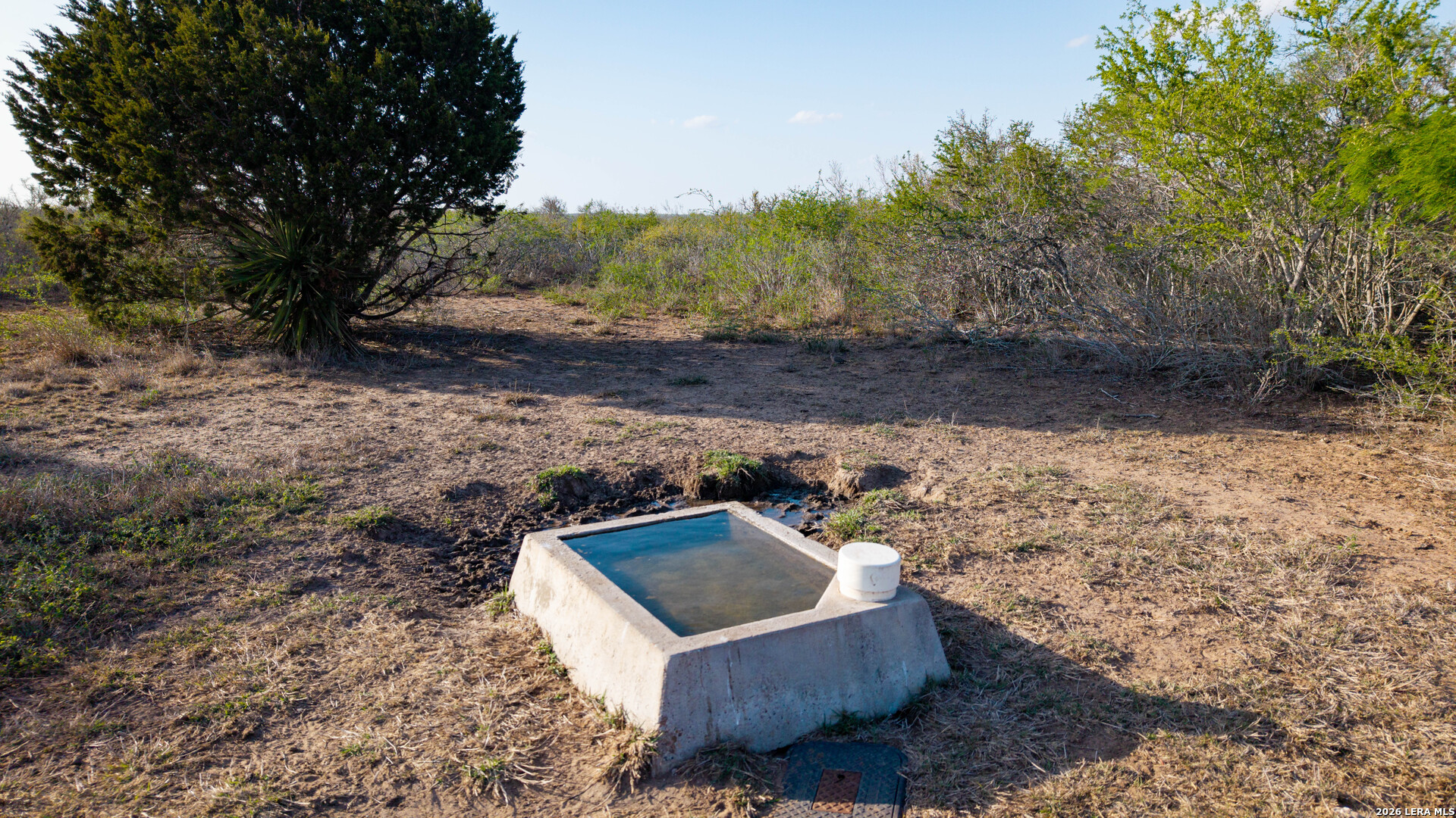 208 Well Pad Road George West TX 78022