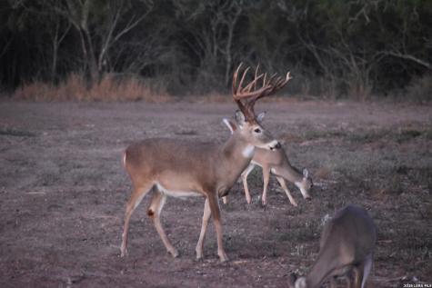 208 Well Pad Road George West TX 78022