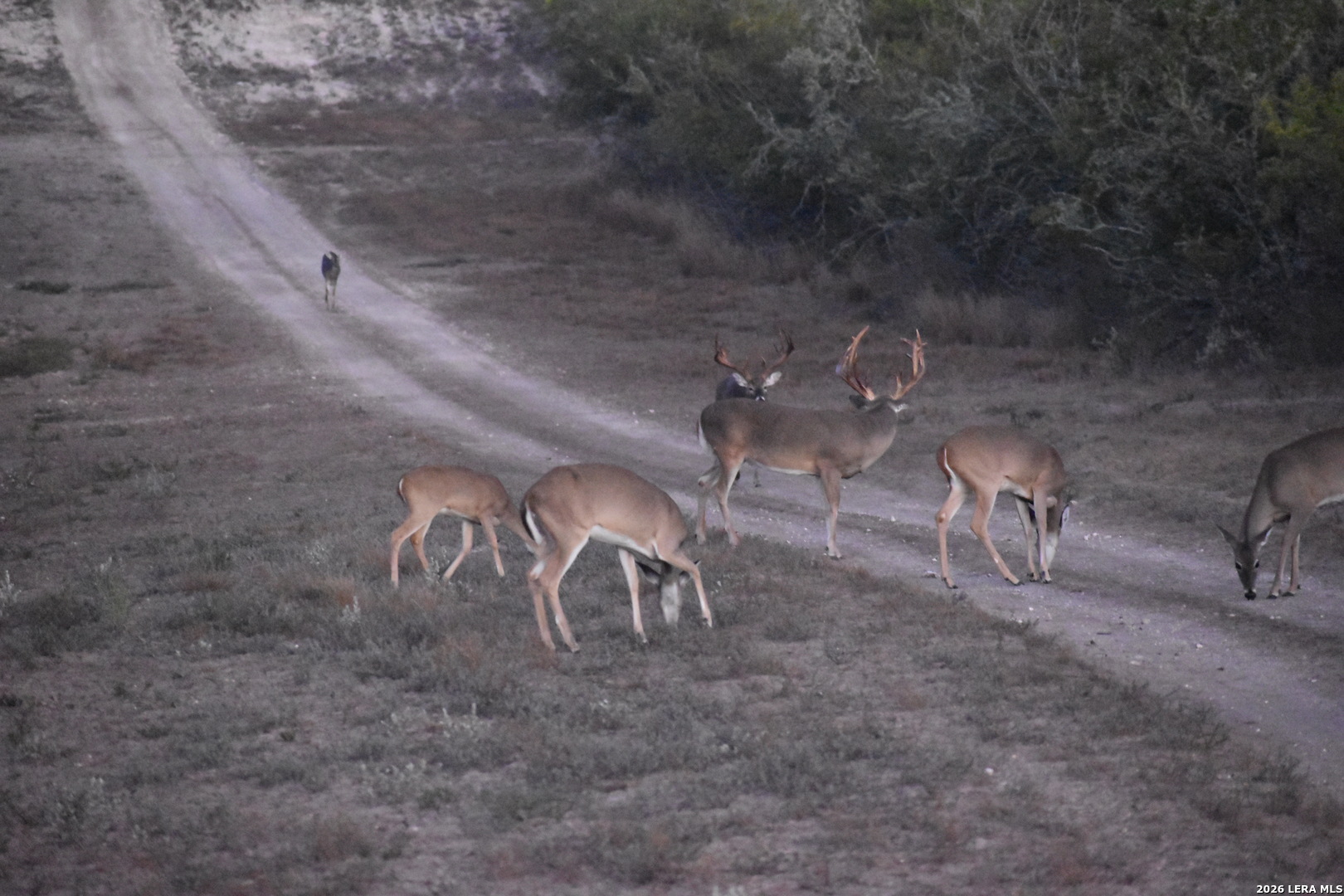 208 Well Pad Road George West TX 78022