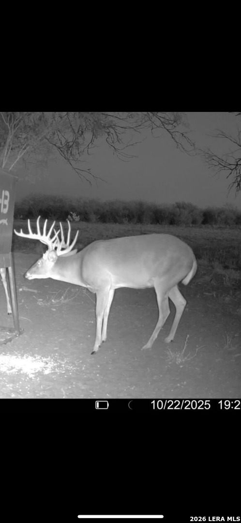 208 Well Pad Road George West TX 78022