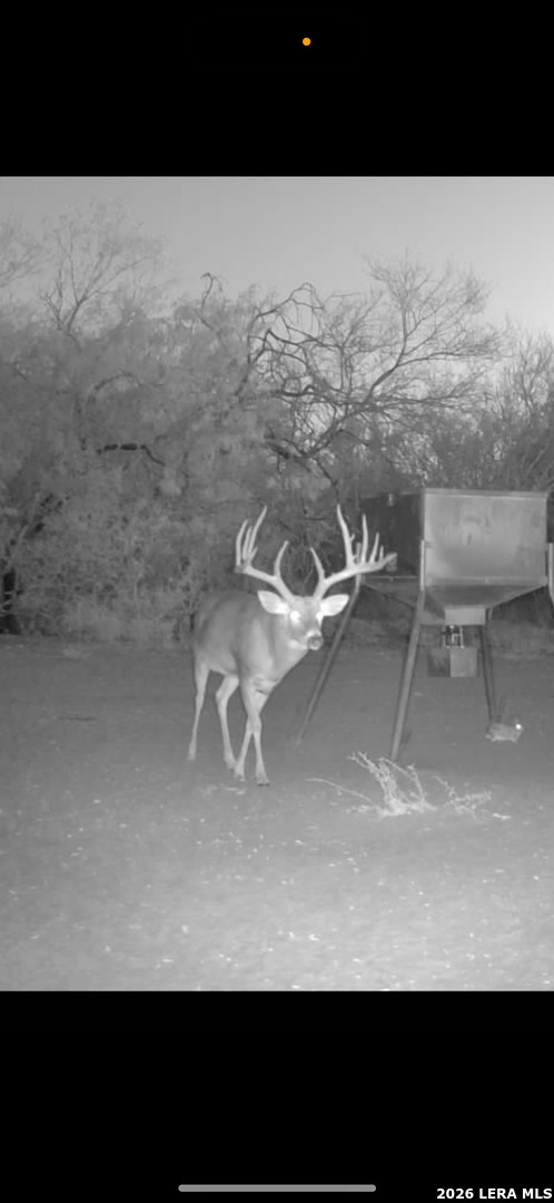 208 Well Pad Road George West TX 78022