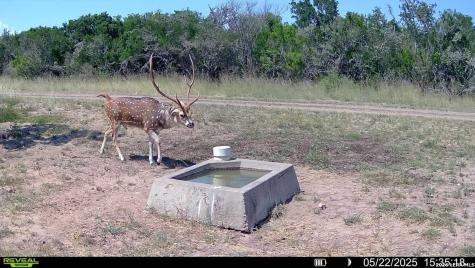 208 Well Pad Road George West TX 78022