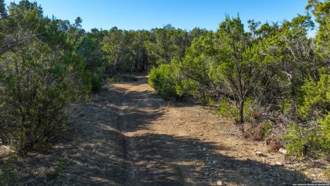 1515 Old Boerne Bulverde TX 78163