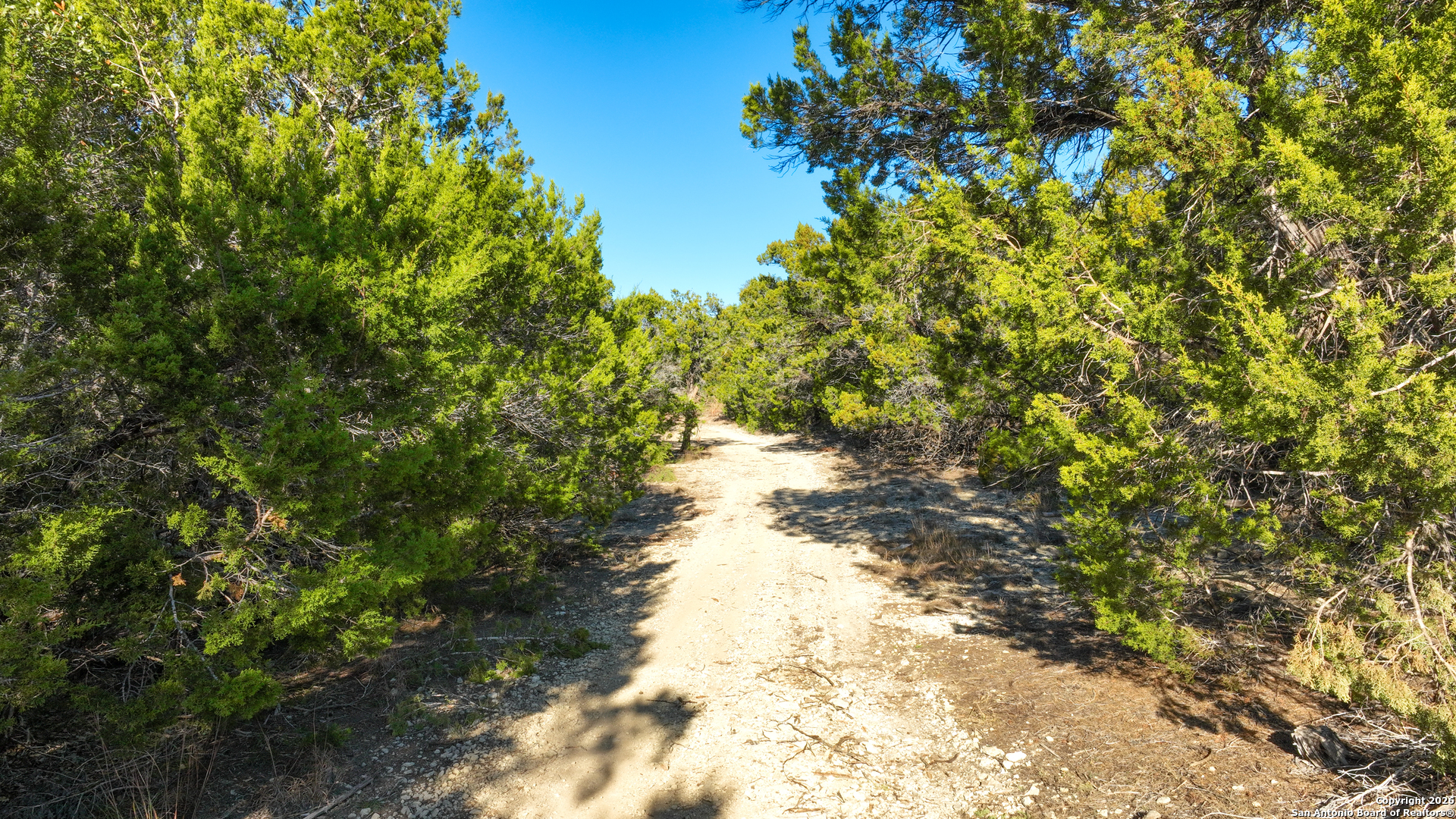 1515 Old Boerne Bulverde TX 78163