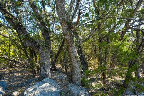 1515 Old Boerne Bulverde TX 78163
