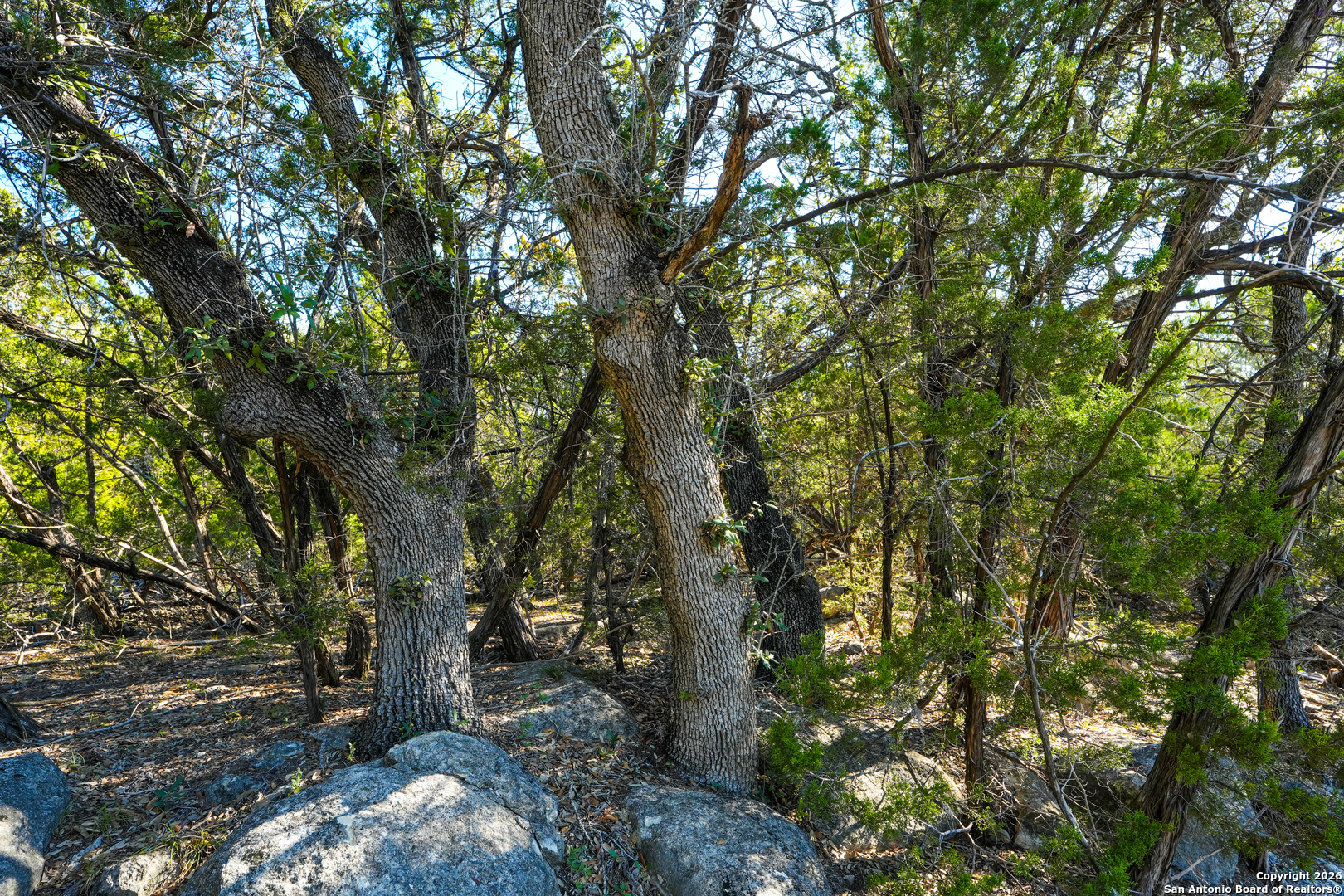 1515 Old Boerne Bulverde TX 78163